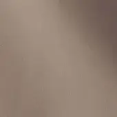 11001170 - CAMOSCIO